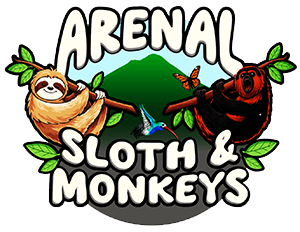 arenal sloths and monkeys