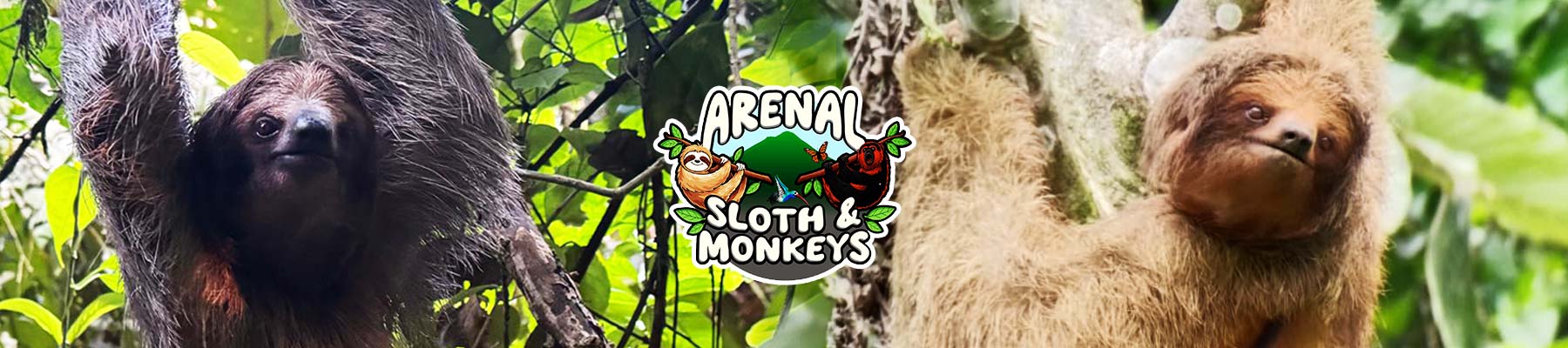 sloths-and-monkeys-slide01