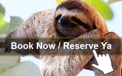 book-now sloths tours